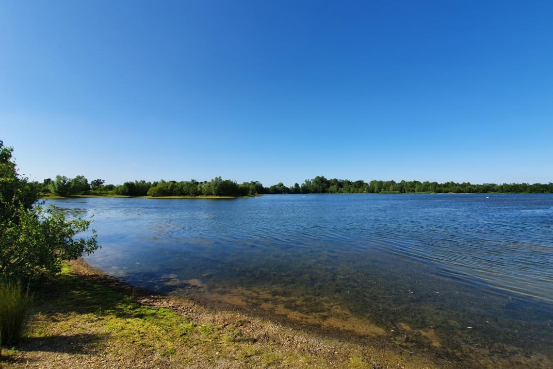 Broom Big Lake Embryo Angling