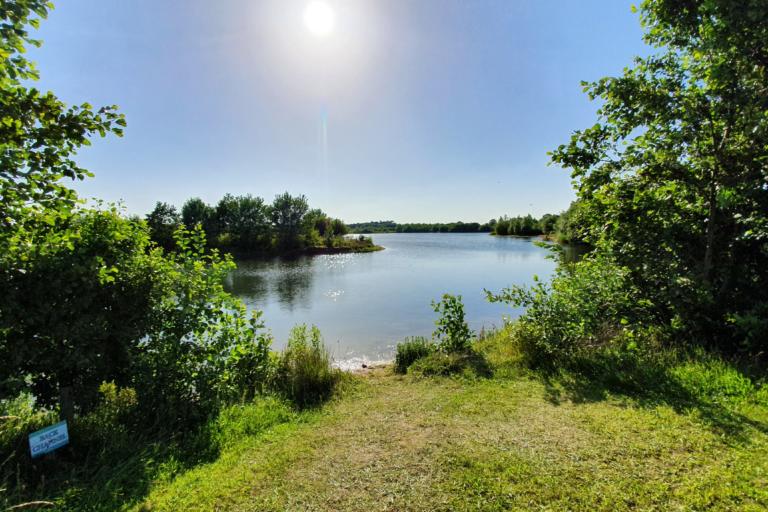Broom Big Lake Embryo Angling