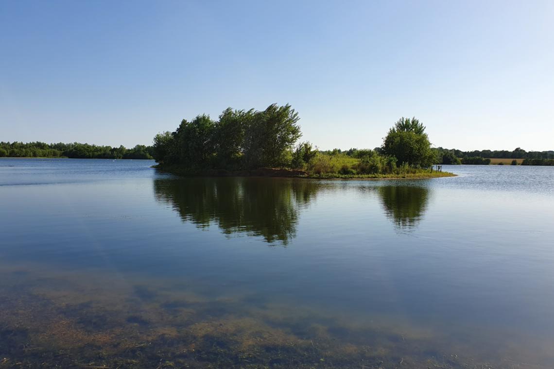 Broom Big Lake Embryo Angling