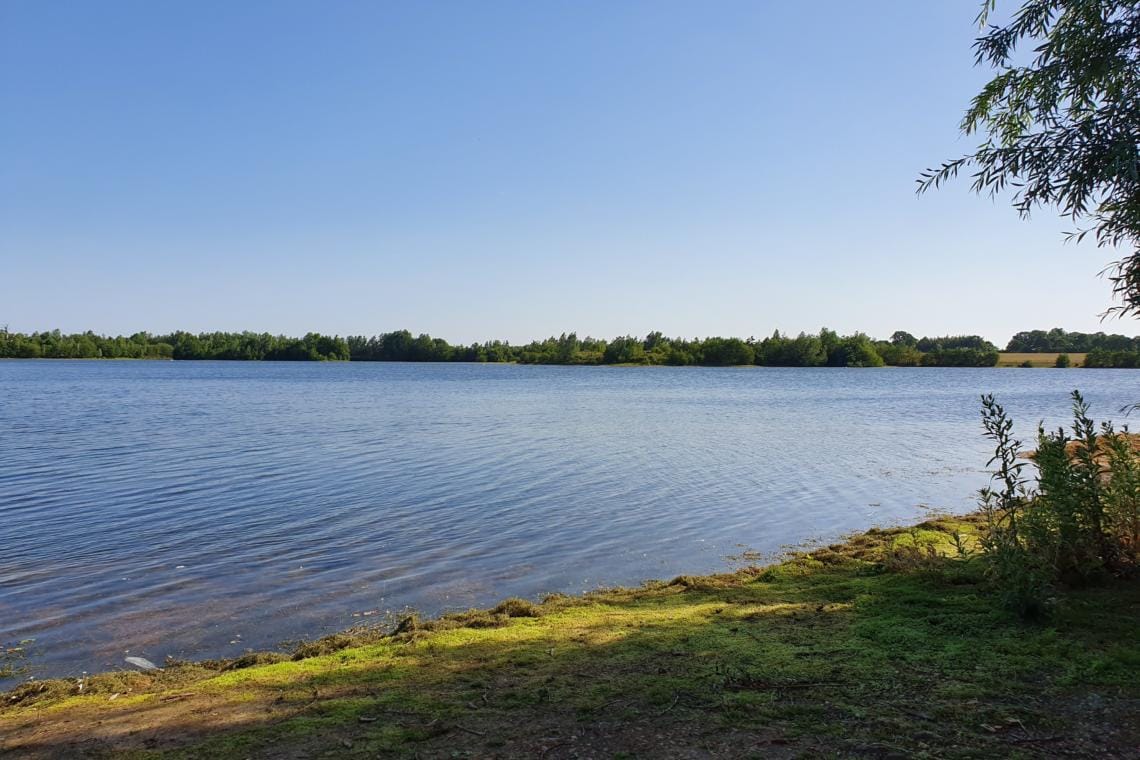 Broom Big Lake Embryo Angling