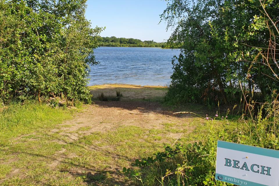 Broom Big Lake Embryo Angling