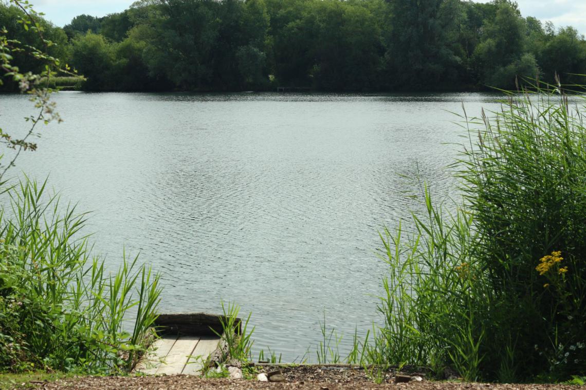 Phil s Lake Embryo Angling