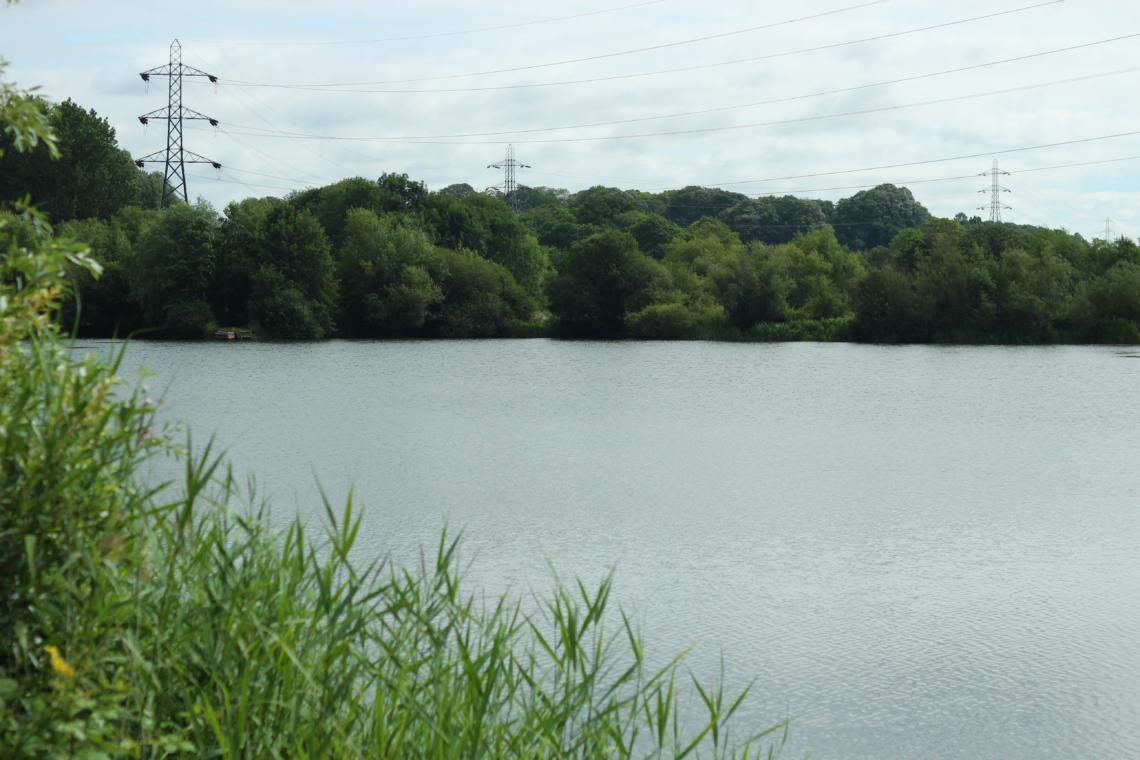 Phil s Lake Embryo Angling