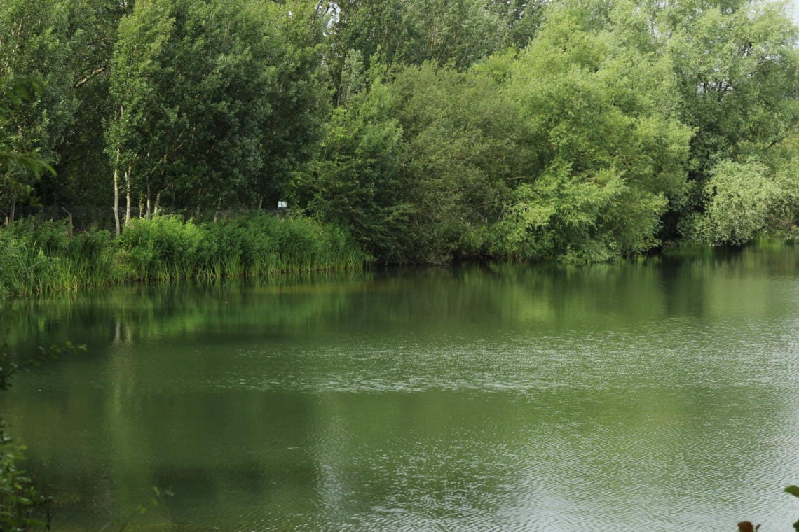Phil s Lake Embryo Angling
