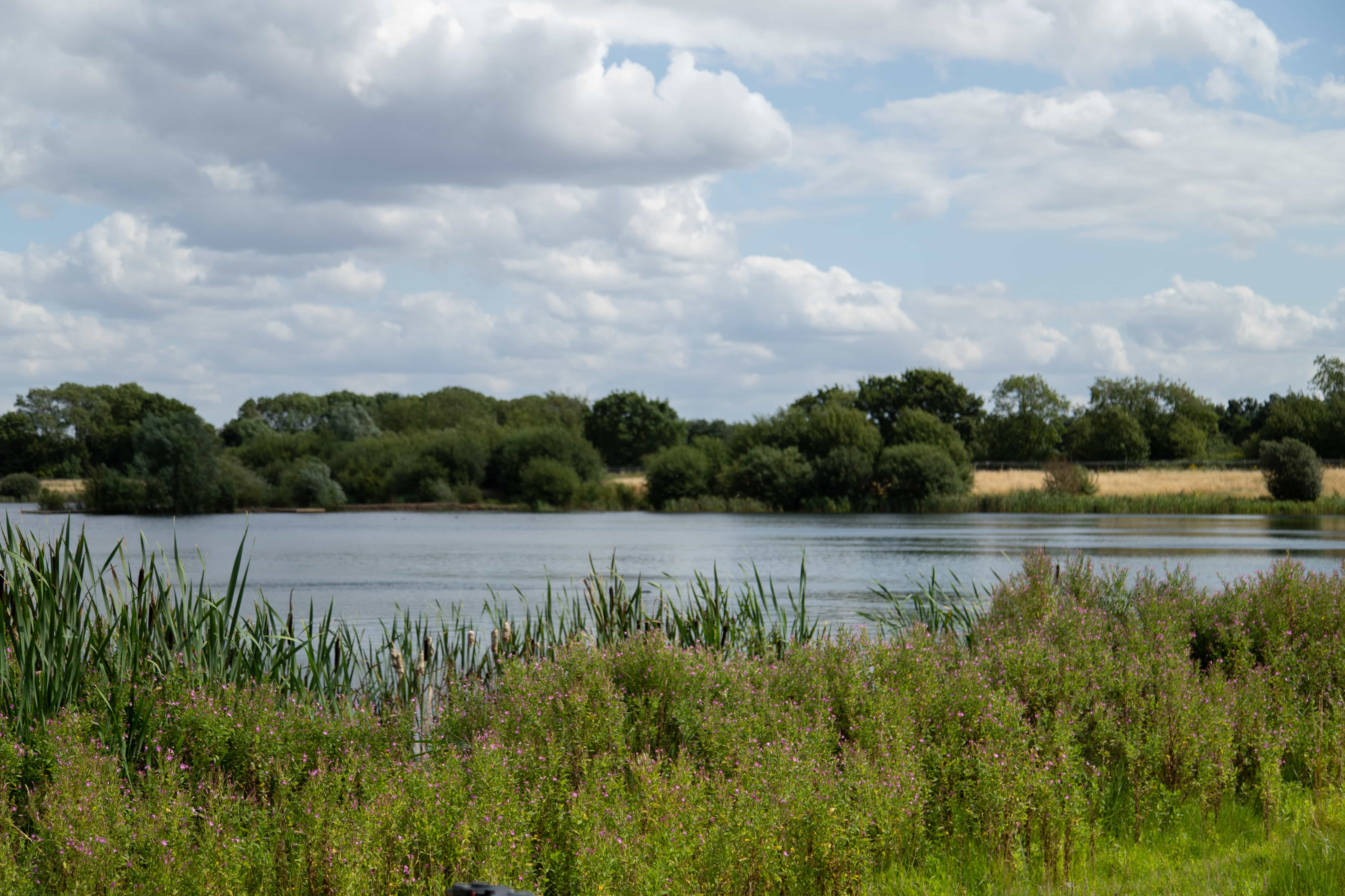 Norton Disney, from the fishery’s own photos