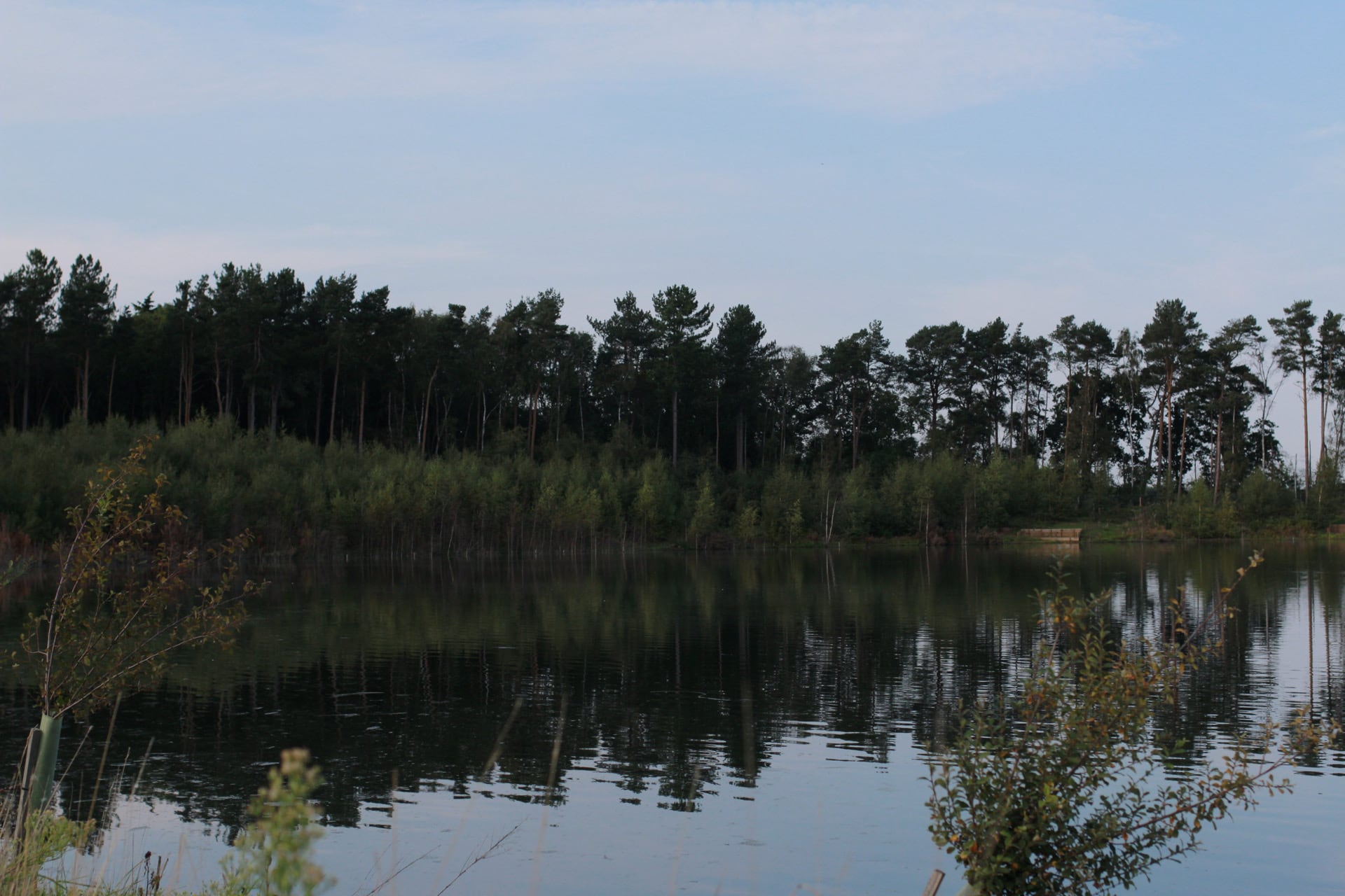Hodgett’s, from the fishery’s own photos
