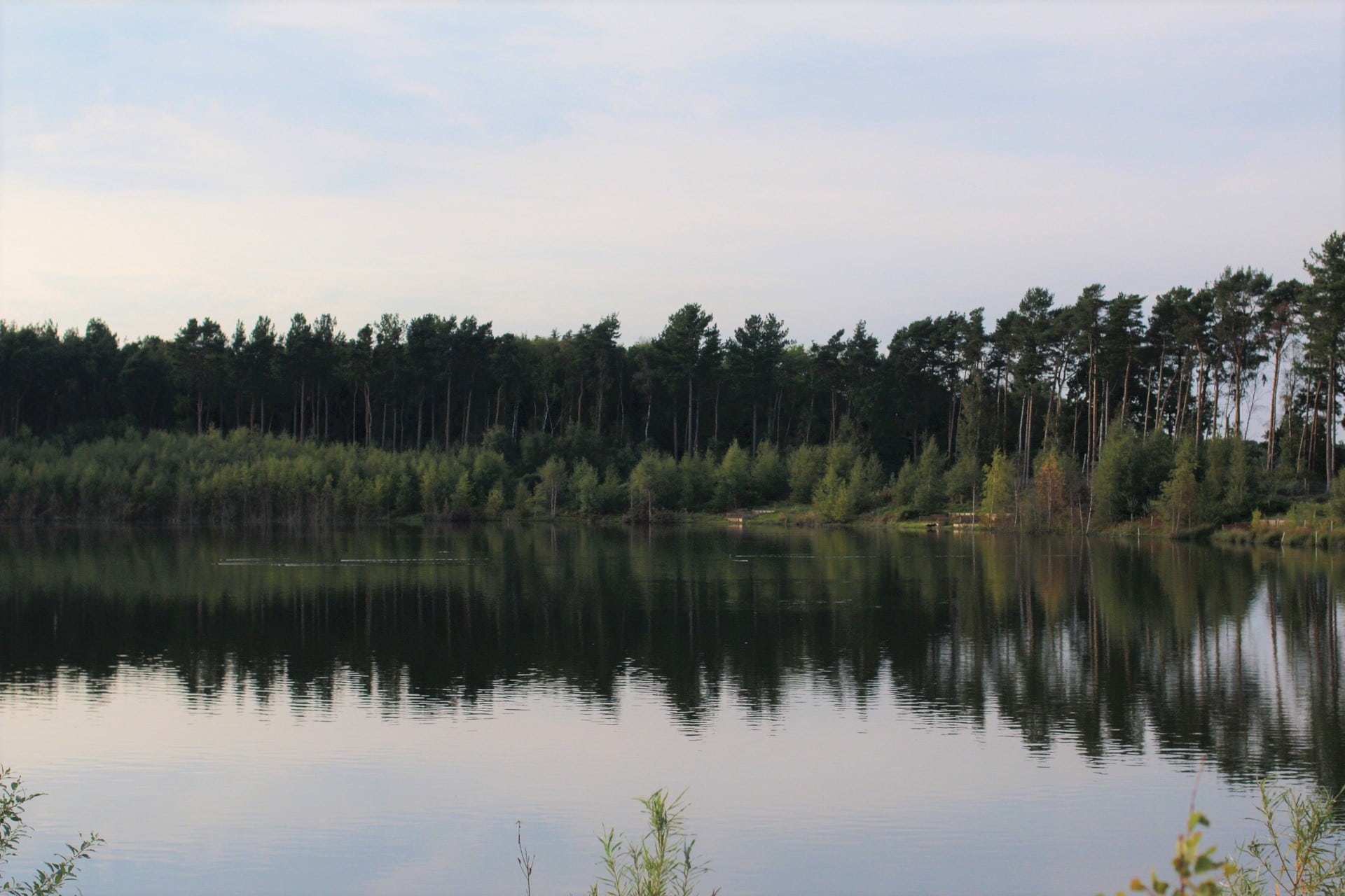 Hodgett’s, from the fishery’s own photos