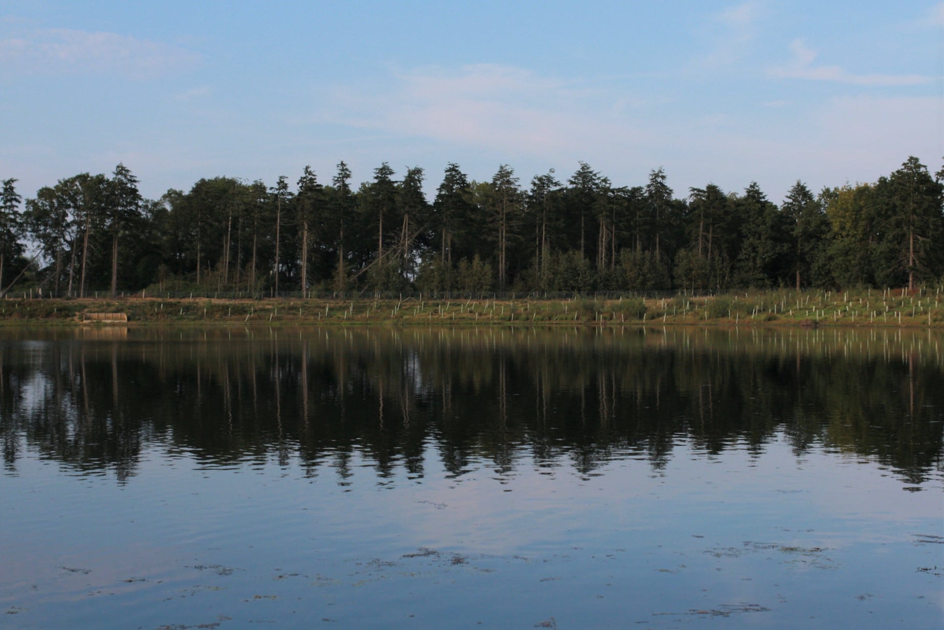 Holden’s, from the fishery’s own photos