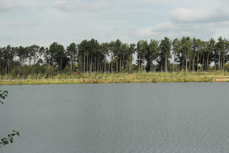 Turner's Lake Embryo Angling