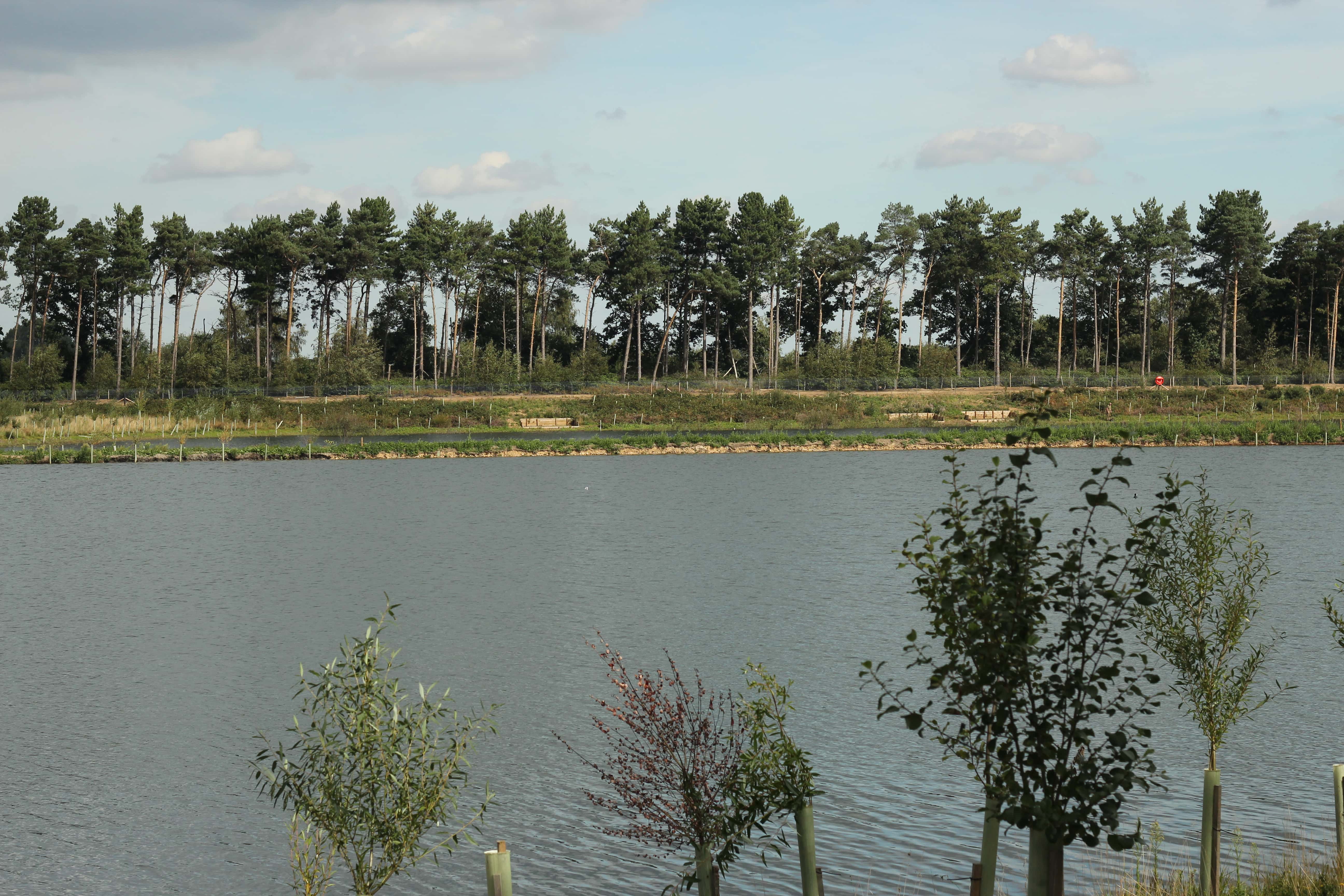 Turner’s, from the fishery’s own photos