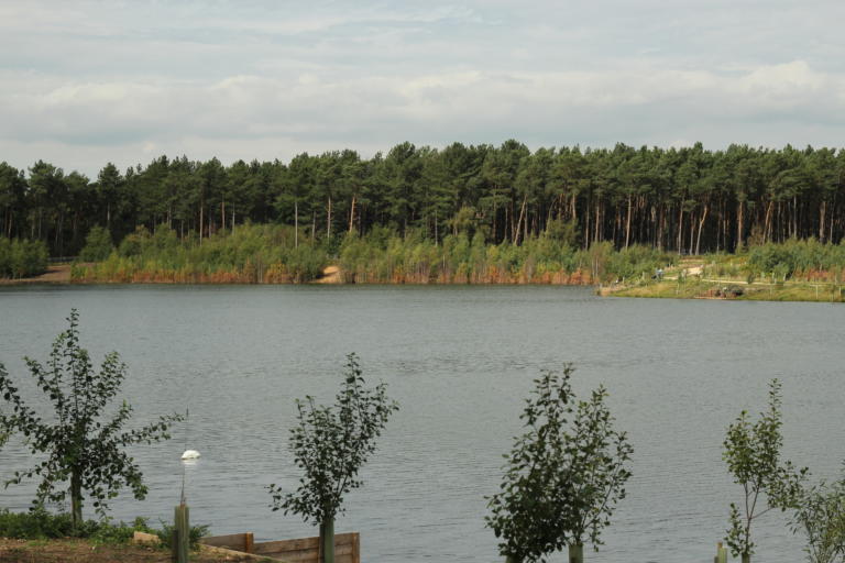 Turner's Lake Embryo Angling