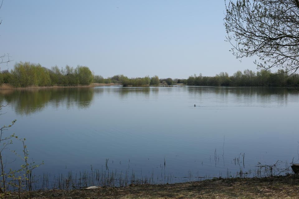 Snails Lake Embryo Angling
