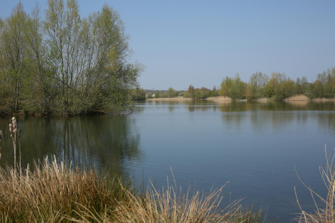 Snails Lake Embryo Angling