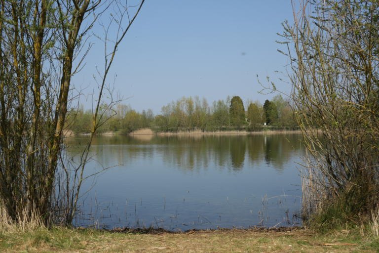Snails Lake Embryo Angling