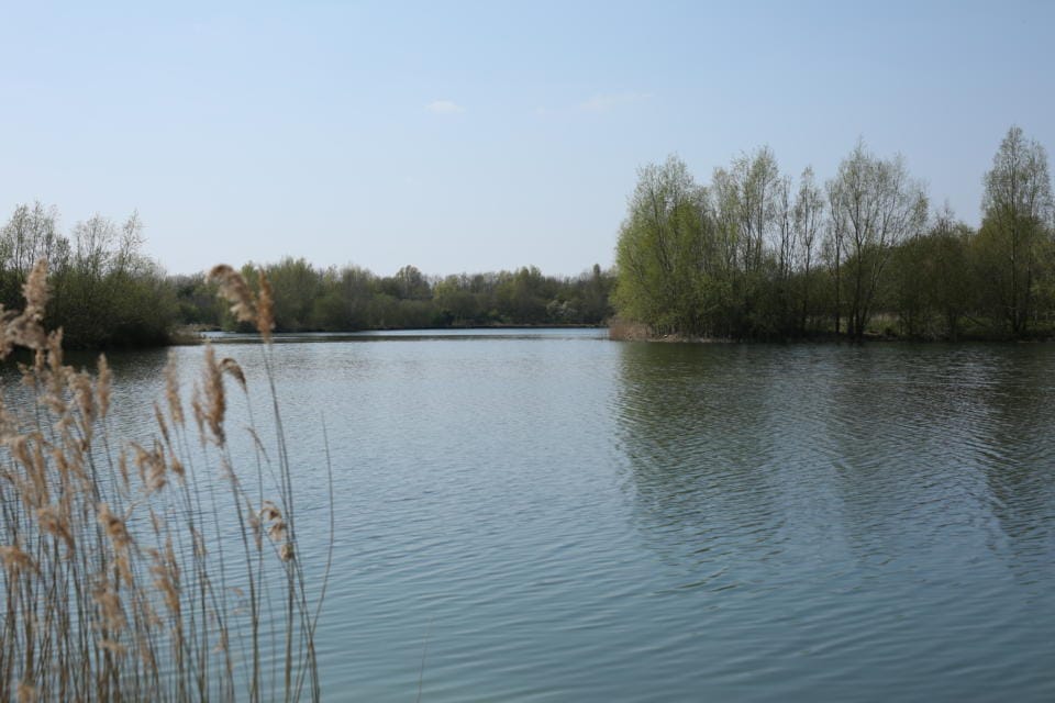 Snails Lake Embryo Angling
