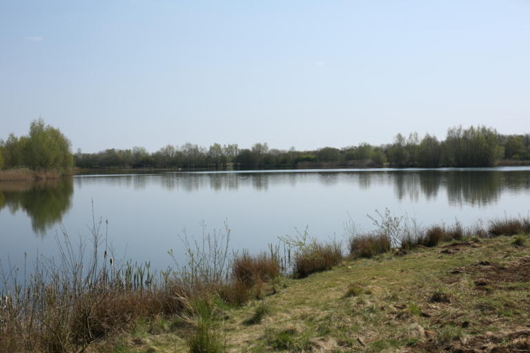 Snails Lake Embryo Angling