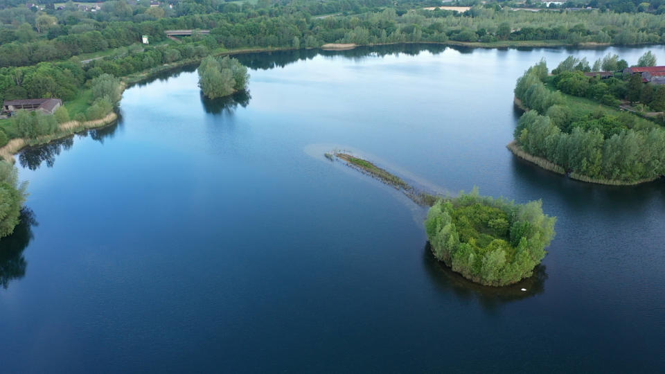 Snails Lake Embryo Angling