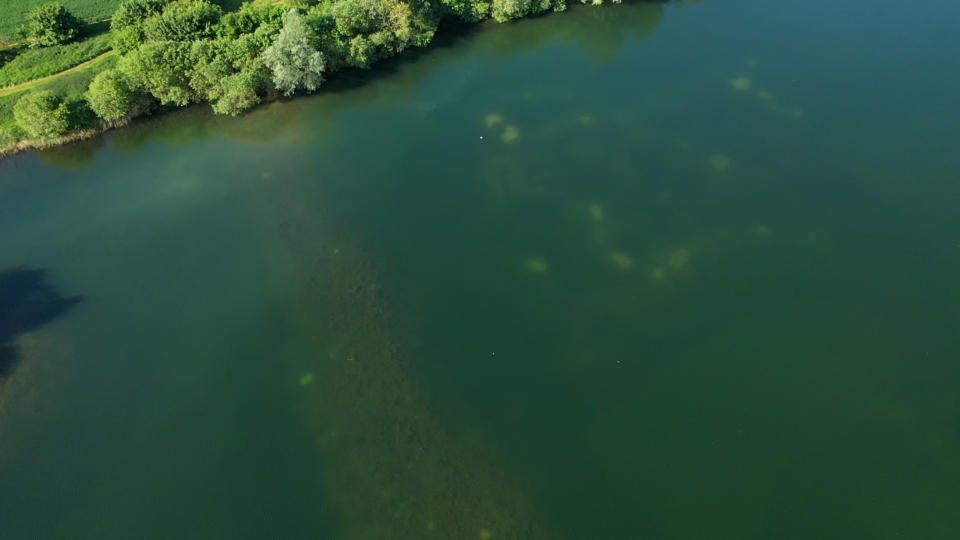 Snails Lake Embryo Angling