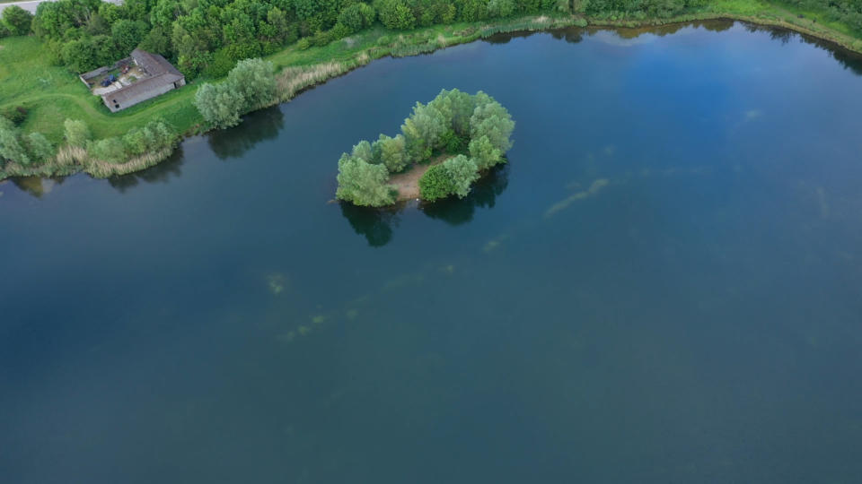 Snails Lake Embryo Angling