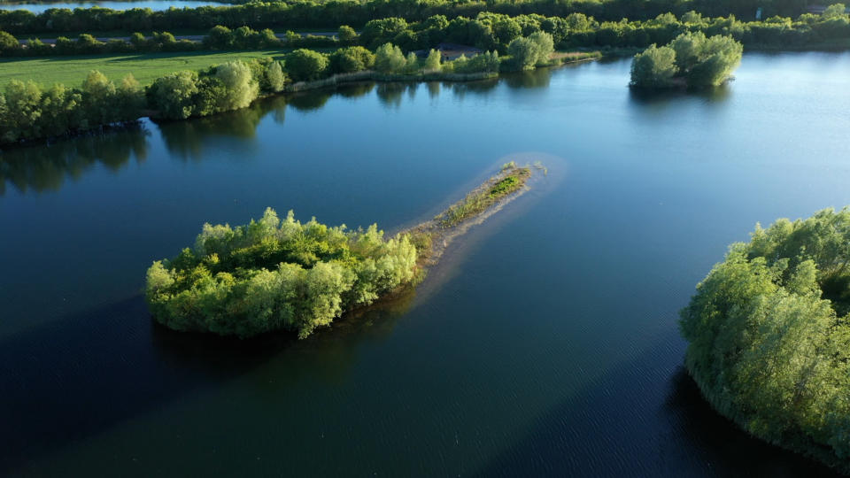 Snails Lake Embryo Angling