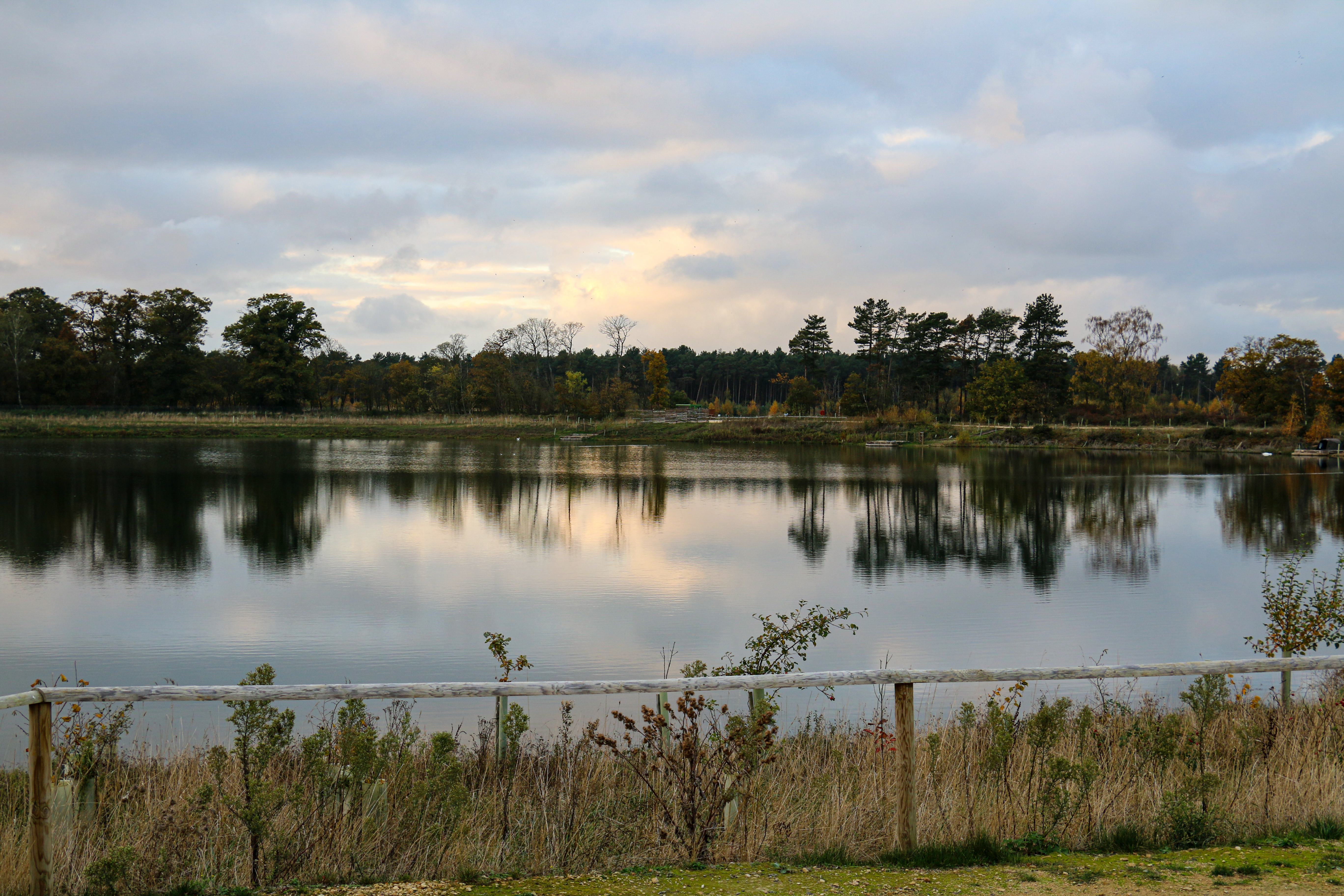 Pettitts, from the fishery’s own photos