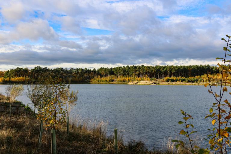 Turner's Lake Embryo Angling