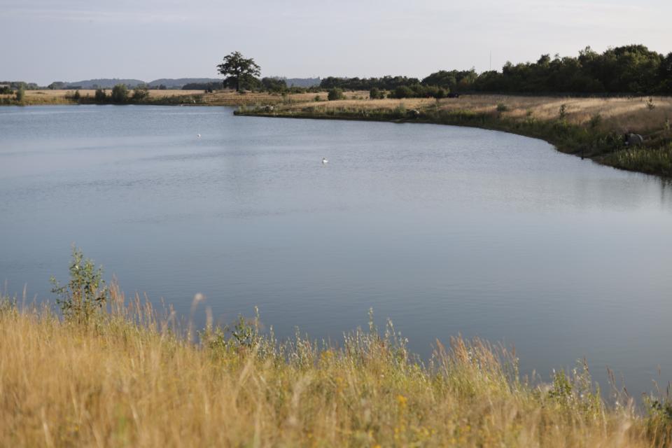 Broom Blue Lake Embryo Angling