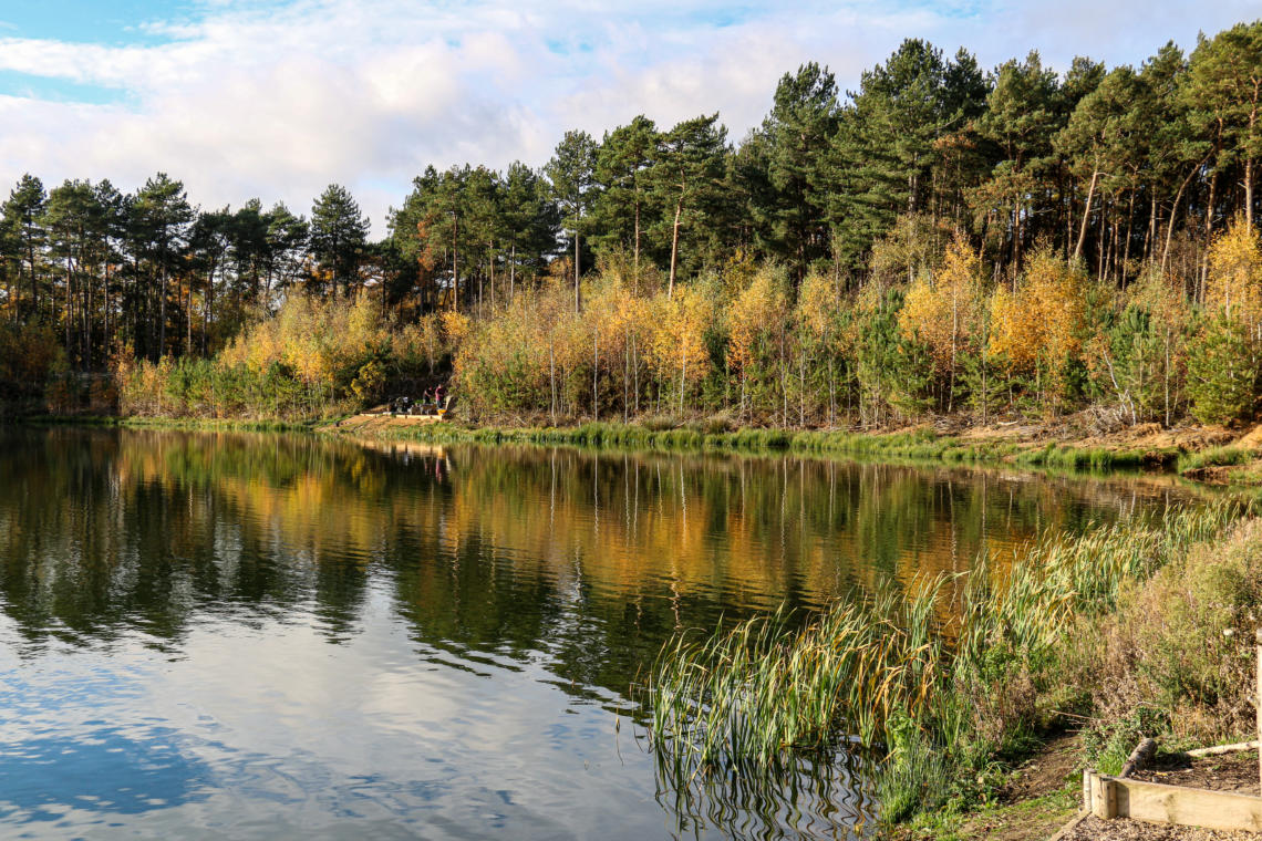 Turner's Lake Embryo Angling