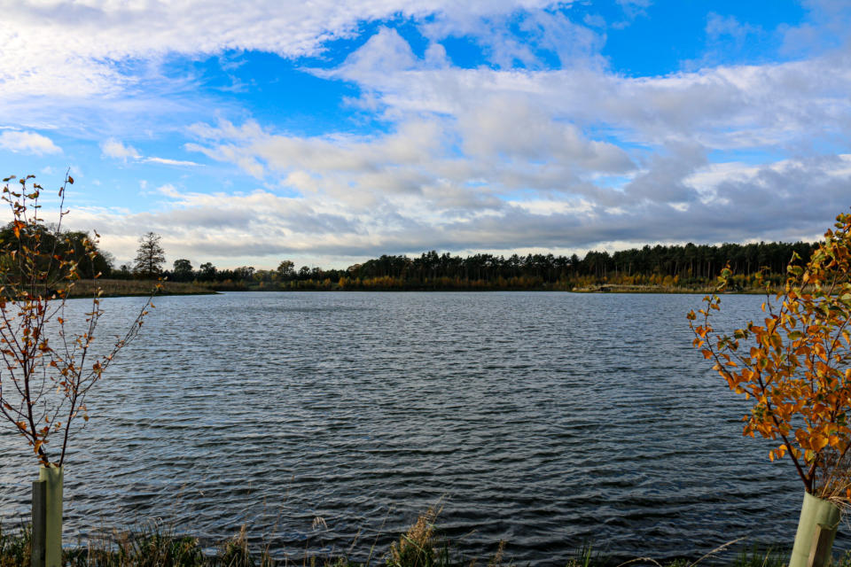 Turner's Lake Embryo Angling
