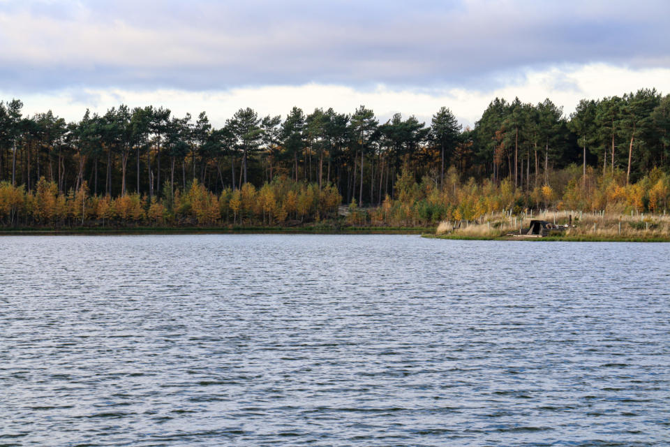 Turner's Lake Embryo Angling