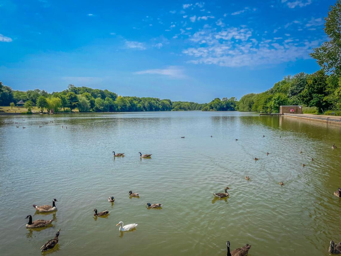 Langold Lake, from the fishery's own website