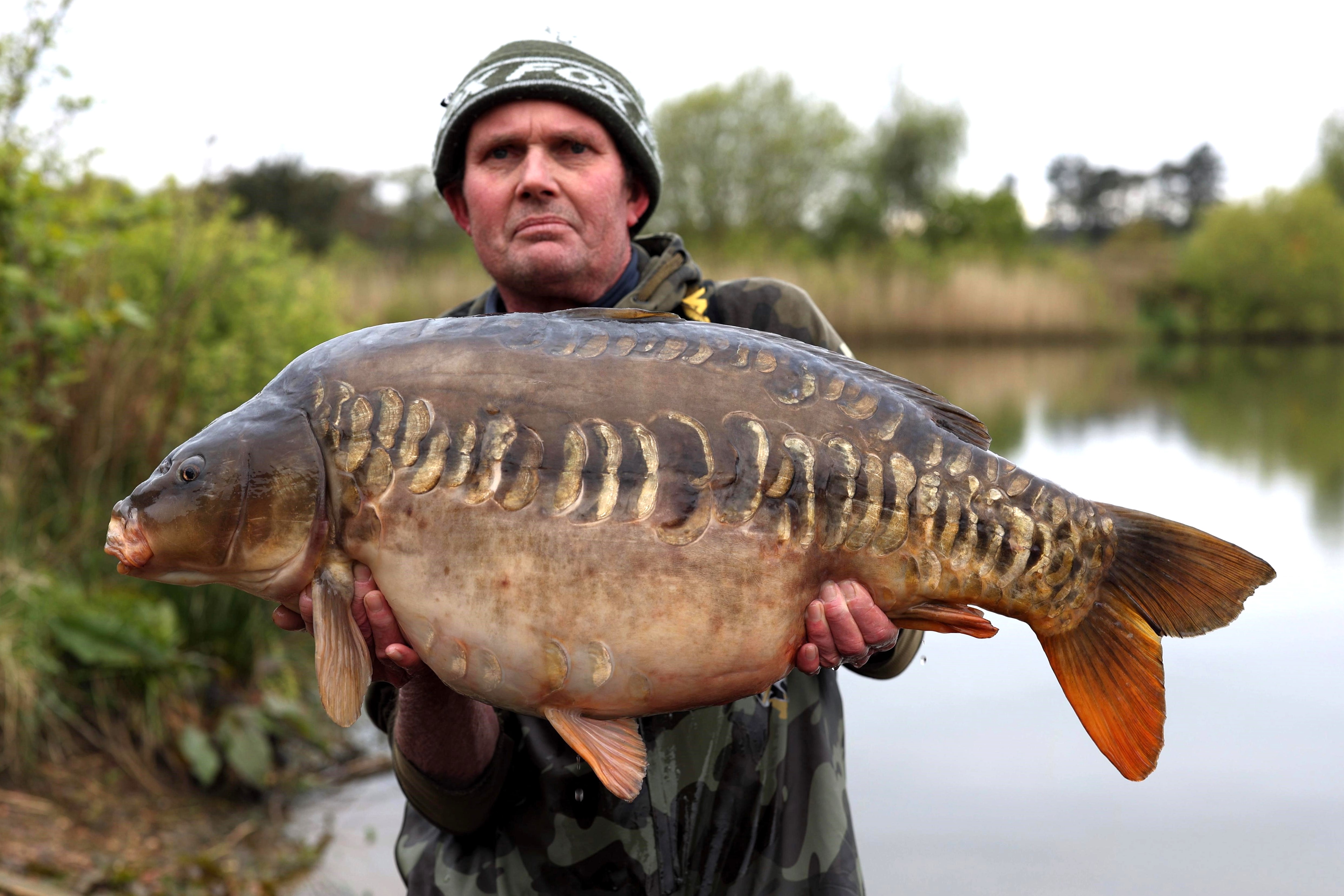 Stock’s catch from the fishery’s gallery